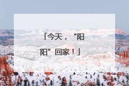 今天，“阳阳”回家！