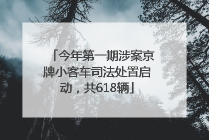 今年第一期涉案京牌小客车司法处置启动，共618辆