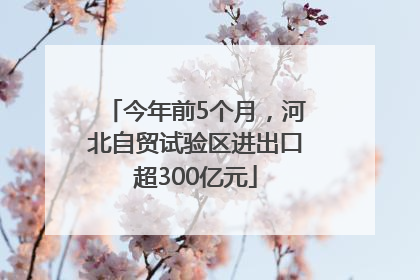 今年前5个月，河北自贸试验区进出口超300亿元
