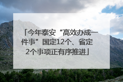 今年泰安“高效办成一件事”国定12个、省定2个事项正有序推进