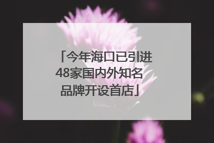 今年海口已引进48家国内外知名品牌开设首店