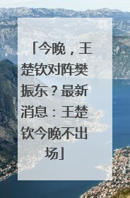 今晚，王楚钦对阵樊振东？最新消息：王楚钦今晚不出场