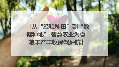 从“经验种田”到“数据种地” 智慧农业为夏粮丰产丰收保驾护航