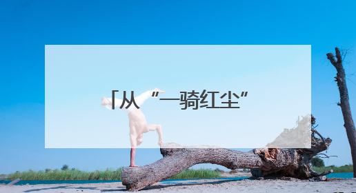 从“一骑红尘”到“杯杯爆款”，《长安的荔枝》带火荔枝茶饮