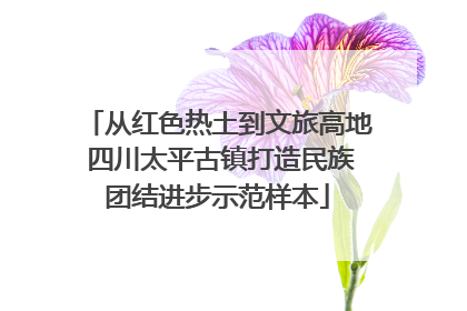 从红色热土到文旅高地 四川太平古镇打造民族团结进步示范样本