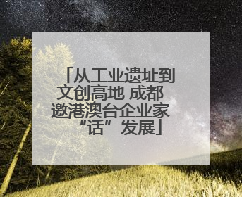 从工业遗址到文创高地 成都邀港澳台企业家“话”发展