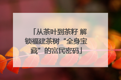 从茶叶到茶籽 解锁福建茶树“全身宝藏”的富民密码