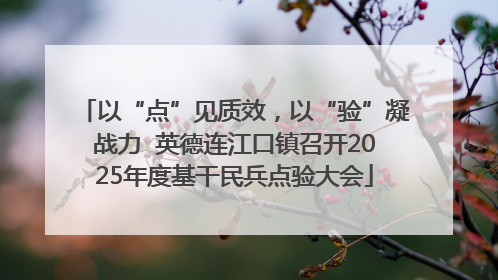 以“点”见质效，以“验”凝战力  英德连江口镇召开2025年度基干民兵点验大会