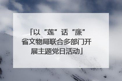 以“莲”话“廉” 省文物局联合多部门开展主题党日活动