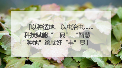 以种适地、以虫治虫……科技赋能“三夏” “智慧种地”绘就好“丰”景