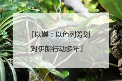 以媒：以色列筹划对伊朗行动多年