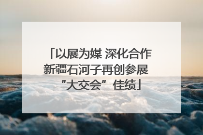 以展为媒 深化合作 新疆石河子再创参展“大交会”佳绩
