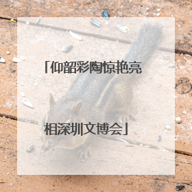 仰韶彩陶惊艳亮相深圳文博会