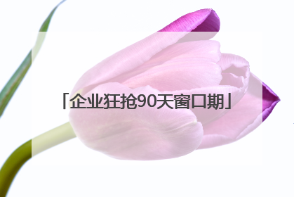 企业狂抢90天窗口期