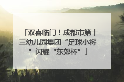 双喜临门！成都市第十三幼儿园集团“足球小将”闪耀“东郊杯”