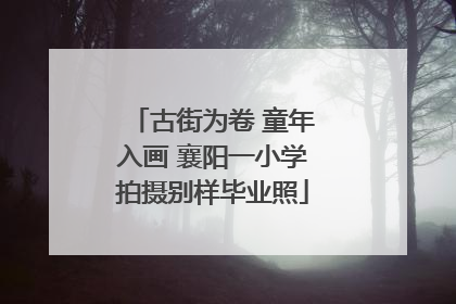 古街为卷 童年入画 襄阳一小学拍摄别样毕业照