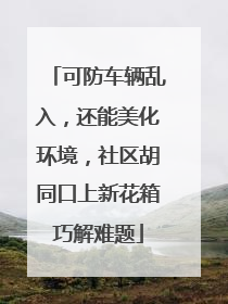 可防车辆乱入，还能美化环境，社区胡同口上新花箱巧解难题