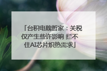 台积电魏哲家：关税仅产生些许影响 拦不住AI芯片炽热需求