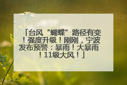台风“蝴蝶”路径有变！强度升级！刚刚，宁波发布预警：暴雨！大暴雨！11级大风！
