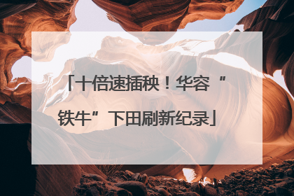 十倍速插秧！华容“铁牛”下田刷新纪录