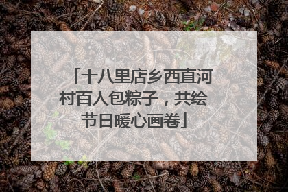 十八里店乡西直河村百人包粽子，共绘节日暖心画卷