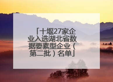 十堰27家企业入选湖北省数据要素型企业（第二批）名单