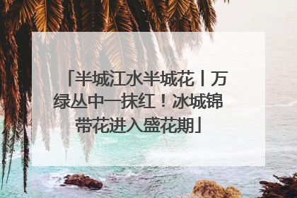 半城江水半城花丨万绿丛中一抹红！冰城锦带花进入盛花期