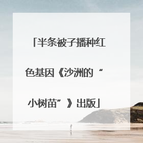 半条被子播种红色基因《沙洲的“小树苗”》出版