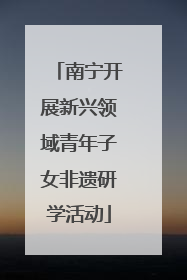 南宁开展新兴领域青年子女非遗研学活动
