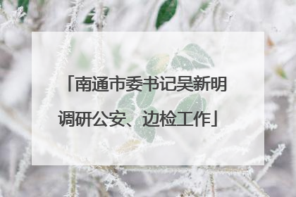 南通市委书记吴新明调研公安、边检工作