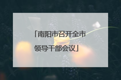 南阳市召开全市领导干部会议