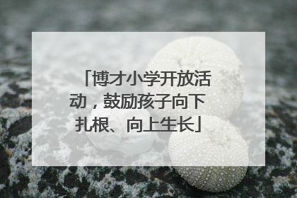 博才小学开放活动，鼓励孩子向下扎根、向上生长