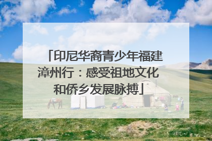 印尼华裔青少年福建漳州行：感受祖地文化和侨乡发展脉搏