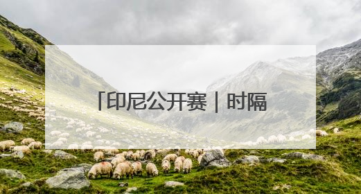 印尼公开赛｜时隔8年再夺女双冠军，国羽一金一银收官
