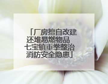厂房擅自改建还堆易燃物品 七宝镇重拳整治消防安全隐患