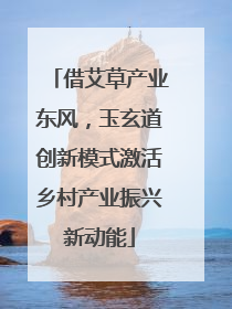 借艾草产业东风，玉玄道创新模式激活乡村产业振兴新动能