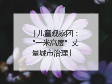 儿童观察团：“一米高度”丈量城市治理