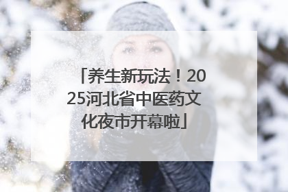 养生新玩法！2025河北省中医药文化夜市开幕啦
