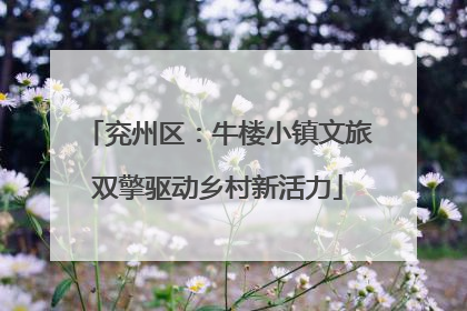 兖州区：牛楼小镇文旅双擎驱动乡村新活力
