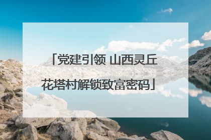 党建引领 山西灵丘花塔村解锁致富密码