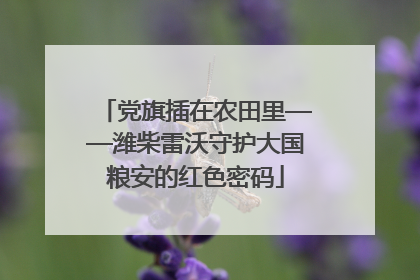 党旗插在农田里——潍柴雷沃守护大国粮安的红色密码