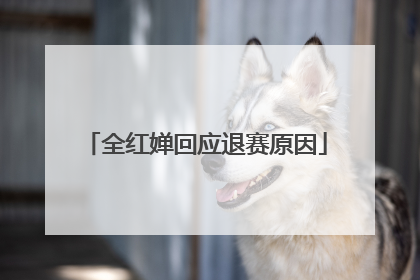 全红婵回应退赛原因