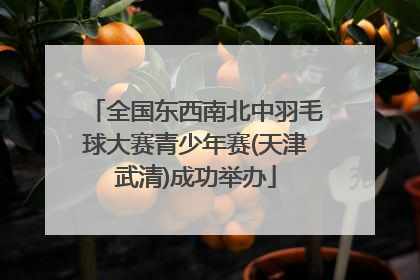 全国东西南北中羽毛球大赛青少年赛(天津武清)成功举办