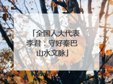全国人大代表李君：守好秦巴山水文脉