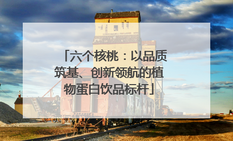 六个核桃：以品质筑基、创新领航的植物蛋白饮品标杆