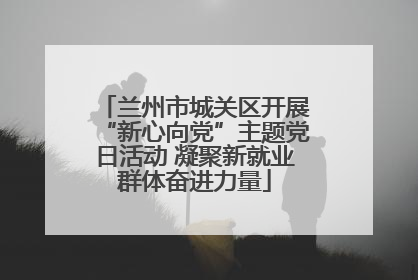 兰州市城关区开展“新心向党”主题党日活动 凝聚新就业群体奋进力量