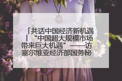 共话中国经济新机遇丨“中国超大规模市场带来巨大机遇”——访塞尔维亚经济部国务秘书尼科利奇