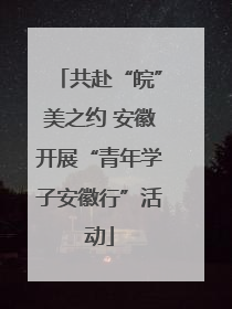 共赴“皖”美之约 安徽开展“青年学子安徽行”活动