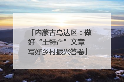内蒙古乌达区：做好“土特产”文章 写好乡村振兴答卷