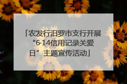 农发行汨罗市支行开展“6·14信用记录关爱日”主题宣传活动